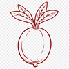 Radish SVG Graphic Design A 2D illustration of a radish in various stages of growth.