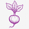A simple illustration of a radish in its entirety.