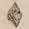 Seaside Shell Icon Seaside-inspired seashell icon in scalable vector format.