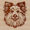 Free Vector Dog Design for Art Projects A detailed illustration of a Shetland sheepdog's head, suitable for vector art design projects.