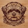 A close-up illustration of a small dog's head with ornate features.