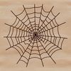 A detailed illustration of a spider web made up of intricate lines and patterns, suitable for vector design.