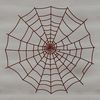 Vector Spider Web Illustration A delicate, intricate spider web created with vector lines.