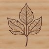 Detailed Nature Clip Art A detailed illustration of a single leaf with veins, suitable for vector design and digital cutting.