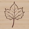 A detailed illustration of a single green leaf with intricate veins.