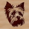 A small breed dog with a distinctive head shape and dark coat pattern.