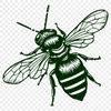 Artistic Bee SVG, PNG, PDF And DXF Files