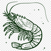 Artistic Prawn Stencil - Free PNG Download