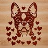 Whimsical Boston Dog Breed Illustration Boston Terrier dog breed illustration with heart accents on its head, suitable for digital designs.
