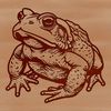 Stylized SVG Design of a Free-To-Use Toad A stylized illustration of a wild toad in vector format, suitable for digital and print use.