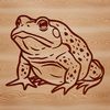 A digital illustration of a toad in a simple vector style.
