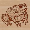 Free Vector Toad Clip Art A digital illustration of a wild toad, suitable for various design applications.