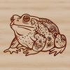 A detailed illustration of a wild toad with intricate design elements.