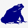 Free Stunning Toad Vector Illustration