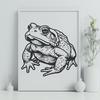 Beautiful Toad - Animal PDF