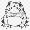 Beautiful Toad Artwork