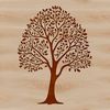 A digital illustration of a tree in various natural settings.
