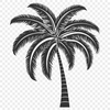 Stunning Palm Tree DXF - For Vinyl Project