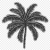 Palm Tree Vector Drawing In SVG, PNG, PDF And DXF Formats