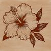 Hibiscus Bloom Design Element A stylized illustration of a tropical hibiscus flower, suitable for digital designs.