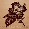 A high-quality digital illustration of a hibiscus flower, suitable for use in vector graphics design and commercial projects.