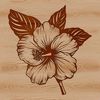 A colorful illustration of a hibiscus flower with multiple petals, suitable for gardening designs or vector art projects.