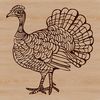 Free Turkey Clip Art for Design Use A graphic illustration of a turkey, suitable for various design purposes.