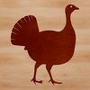 Turkey Clip Art Design Vector Vector illustration of a domesticated turkey.