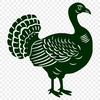 Beautiful Turkey Printable Image