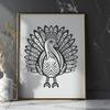 Ornate Turkey - For Animal Project