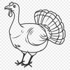 Stunning Turkey - Animal PDF Free Download