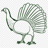 Beautiful Turkey PNG - For Laser Cutter Project