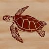 Underwater Shell Beauty A sea turtle swimming in the ocean, showcasing its shell and flippers.