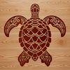 Illustration of a sea turtle in its natural habitat.
