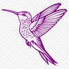 Hummingbird Stencil In PNG & SVG - Free Digital Download