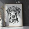 Stunning Great Dane In SVG - Free Digital Download