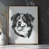 Australian Shepherd Digital Drawing In SVG, PNG, PDF And DXF Formats