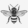 Stunning Insect DXFs - Free Download