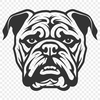 Beautiful Bulldog DXF