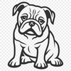 Cute Bulldog Digital Drawing In PNG For Free Download