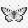 Creative Butterfly Illustration