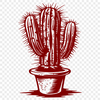 Creative Cactus PNG - Free Commercial Use Download