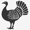 Free Beautiful Turkey Design