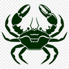 Crab In PDF Format - Free Digital Download, Commercial Use