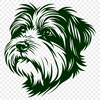 Stunning Havanese In PNG - Free Digital Download