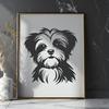 Free Morkie - For Animal Project