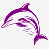 Dolphin In SVGs - Free Commercial Use License