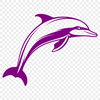 Unique Dolphin Printable Image PNG - Free Download