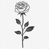 Unique Rose In PDF - For Free Download, Commercial Use