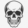 Free Unique Skull Vector Drawing